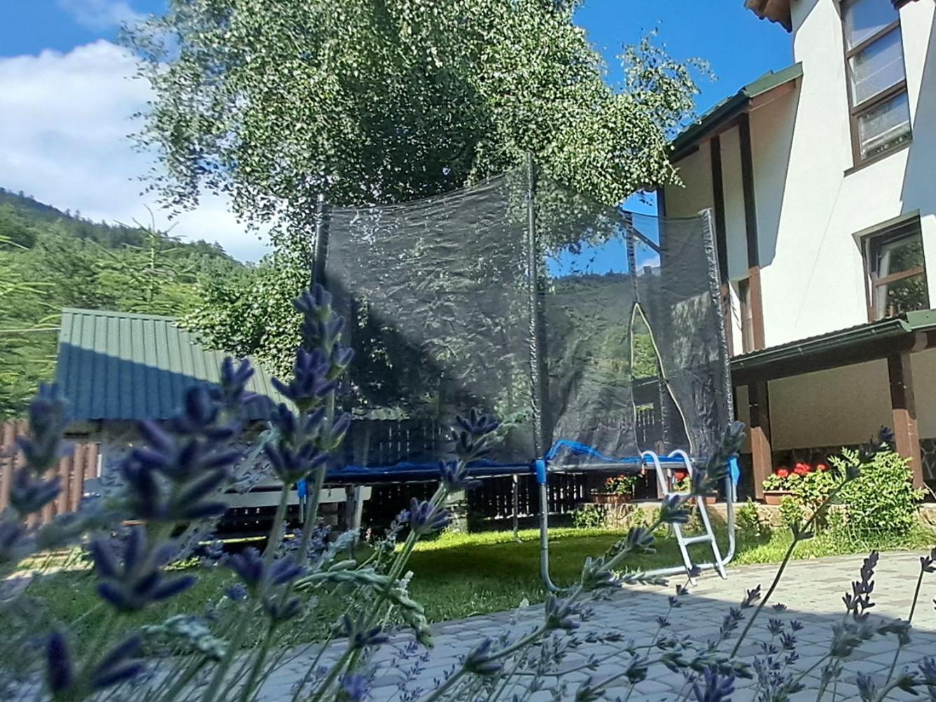 Girska Sonata Villa Mykulychyn